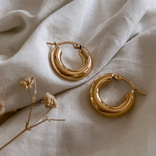 Load image into Gallery viewer, Golden Pacifica Hoop Earrings
